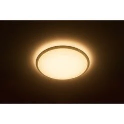 Philips MyLiving LED Plafondlamp Wawel -InterieurKunst Verkoopwinkel 123 26315