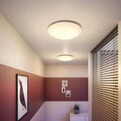 Philips Plafonnière Suede Met Geïntegreerde LED -InterieurKunst Verkoopwinkel 123 26323