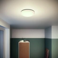 Philips Plafonnière Suede Wit -InterieurKunst Verkoopwinkel 123 26327