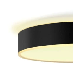 Philips Hue Plafondlamp Enrave Zwart 55 Cm -InterieurKunst Verkoopwinkel 123 26364