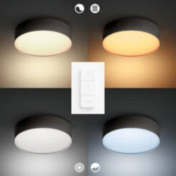 Philips Hue Plafondlamp Enrave Zwart 55 Cm -InterieurKunst Verkoopwinkel 123 26365