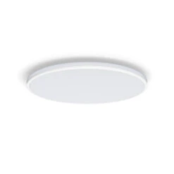 Philips Hue Plafonnière Ozziet Wit 1x22W 7 Philips Hue Plafonnière Ozziet Wit 1x22W -InterieurKunst Verkoopwinkel 123 26375