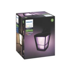 Philips Hue Buitenlamp Waca -InterieurKunst Verkoopwinkel 123 26623