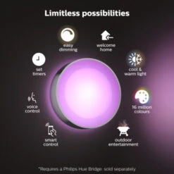 Philips Hue Outdoor Buitenlamp Daylo Aluminium -InterieurKunst Verkoopwinkel 123 26637