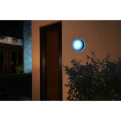 Philips Hue Outdoor Buitenlamp Daylo Aluminium -InterieurKunst Verkoopwinkel 123 26640