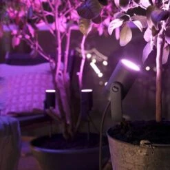 Philips Hue Lily Startset Prikspot 1x8W Zwart -InterieurKunst Verkoopwinkel 123 26686