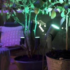 Philips Hue Lily Startset Prikspot 1x8W Zwart -InterieurKunst Verkoopwinkel 123 26687