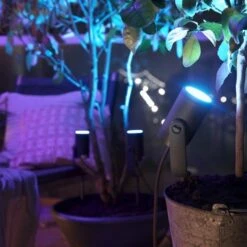 Philips Hue Lily Startset Prikspot 1x8W Zwart -InterieurKunst Verkoopwinkel 123 26688