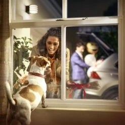 Philips Hue Lucca Wandlamp 1x9.5W 230V Antraciet -InterieurKunst Verkoopwinkel 123 26840