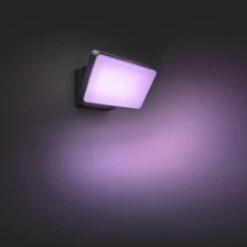 Philips Hue Buitenlamp Discover -InterieurKunst Verkoopwinkel 123 27009