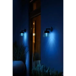 Philips Hue Outdoor Buitenlamp Attract Zwart -InterieurKunst Verkoopwinkel 123 27501