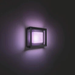 Philips Hue Outdoor Buitenlamp Econic Zwart -InterieurKunst Verkoopwinkel 123 27757