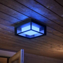 Philips Hue Outdoor Buitenlamp Econic Zwart -InterieurKunst Verkoopwinkel 123 27762