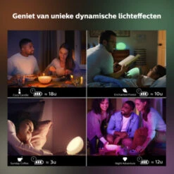 Philips Hue Go Draagbare Hue Lamp -InterieurKunst Verkoopwinkel 123 27978