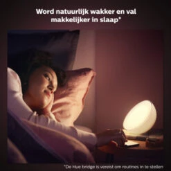 Philips Hue Go Draagbare Hue Lamp -InterieurKunst Verkoopwinkel 123 27983