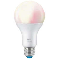 WiZ Connected LED Peer E27 100W Mat Kleurlicht Dimbaar