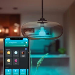 Philips Hue Peer E27 1600 Lumen White Ambiance -InterieurKunst Verkoopwinkel 123 28010