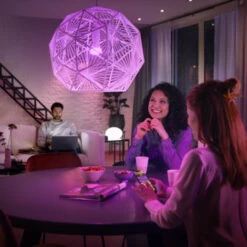 Philips Hue White Ambiance Color 2-pack -InterieurKunst Verkoopwinkel 123 28059