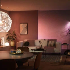 Philips Hue White Ambiance Color 2-pack -InterieurKunst Verkoopwinkel 123 28061