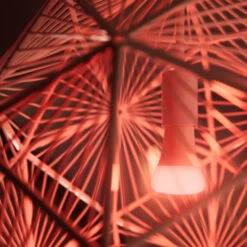 Philips Hue White Ambiance Color 2-pack -InterieurKunst Verkoopwinkel 123 28065