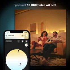 Philips Hue White Ambiance Color 2-pack -InterieurKunst Verkoopwinkel 123 28069