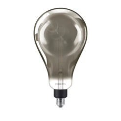 Philips LED Giant Peer E27 25W Filament Smoky Dimbaar -InterieurKunst Verkoopwinkel 123 28114