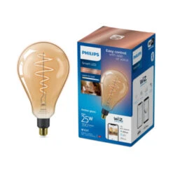 Philips 25 Watt E27-fitting -InterieurKunst Verkoopwinkel 123 28148