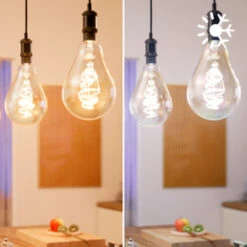 Philips 25 Watt E27-fitting -InterieurKunst Verkoopwinkel 123 28150