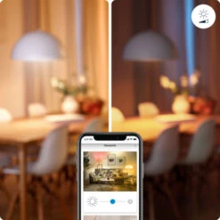 WiZ Connected LED Giant Globe E27 25W Filament Gold Koel Tot Warmwit Licht Dimbaar -InterieurKunst Verkoopwinkel 123 28175