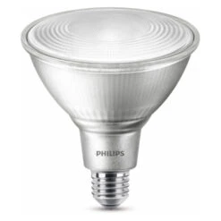 Philips LED E27 100W Dimbaar