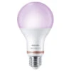Philips Smart Led Peer E27 100 Watt Dimbaar