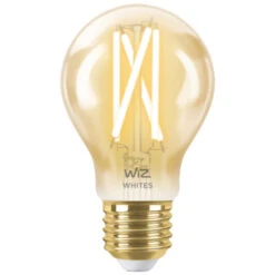 WiZ Connected LED Peer E27 50W Filament Gold Koel Tot Warmwit Licht Dimbaar