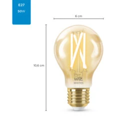WiZ Connected LED Peer E27 50W Filament Gold Koel Tot Warmwit Licht Dimbaar -InterieurKunst Verkoopwinkel 123 28300