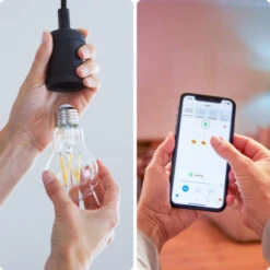 WiZ Connected LED Peer E27 50W Filament Gold Koel Tot Warmwit Licht Dimbaar -InterieurKunst Verkoopwinkel 123 28301