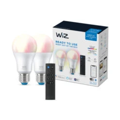 WiZ Connected LED Peer E27 60W 2 Stuks + Afstandsbediening Mat Kleur Licht Dimbaar -InterieurKunst Verkoopwinkel 123 28313