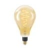 WiZ Connected LED Giant Peer E27 25W Filament Gold Koel Tot Warmwit Licht Dimbaar