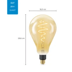 WiZ Connected LED Giant Peer E27 25W Filament Gold Koel Tot Warmwit Licht Dimbaar -InterieurKunst Verkoopwinkel 123 28328