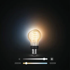 Philips HUE 7 Watt E27-fitting -InterieurKunst Verkoopwinkel 123 28366