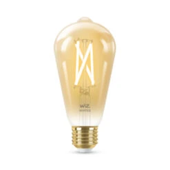 WiZ Connected LED Edison E27 50W Filament Gold Koel Tot Warmwit Licht Dimbaar