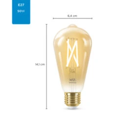 WiZ Connected LED Edison E27 50W Filament Gold Koel Tot Warmwit Licht Dimbaar -InterieurKunst Verkoopwinkel 123 28423