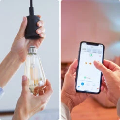 WiZ Connected LED Edison E27 50W Filament Gold Koel Tot Warmwit Licht Dimbaar -InterieurKunst Verkoopwinkel 123 28424