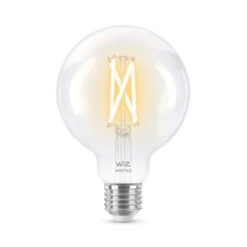 WiZ Connected LED Globe E27 60W Filament Helder Koel Tot Warmwit Licht Dimbaar