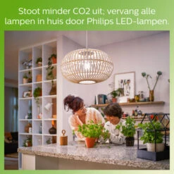 Philips LED Reflector E27 60W R63 Dimbaar -InterieurKunst Verkoopwinkel 123 28498