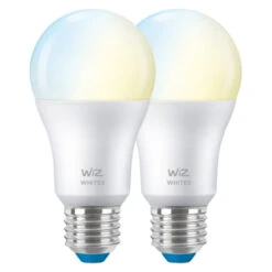 WiZ Connected LED Peer E27 60W 2 Stuks Mat Koel Tot Warmwit Licht Dimbaar