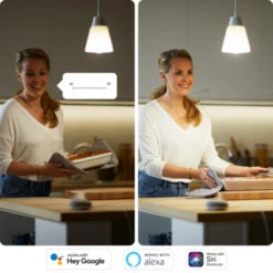 WiZ Connected LED Peer E27 60W 2 Stuks Mat Koel Tot Warmwit Licht Dimbaar -InterieurKunst Verkoopwinkel 123 28524