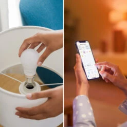 Philips Smart Led Peer E27 60 Watt Color Dimbaar -InterieurKunst Verkoopwinkel 123 28585