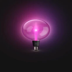 Philips Hue Lightguide E27 Ellipse Wit En Gekleurd Licht -InterieurKunst Verkoopwinkel 123 28637