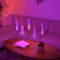 Philips Hue Lightguide E27 Ellipse Wit En Gekleurd Licht -InterieurKunst Verkoopwinkel 123 28639