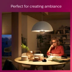 Philips LED Globe E27 50W Spiegel Dimbaar -InterieurKunst Verkoopwinkel 123 28675