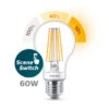 Philips LED Peer E27 60W Sceneswitch Filament Helder